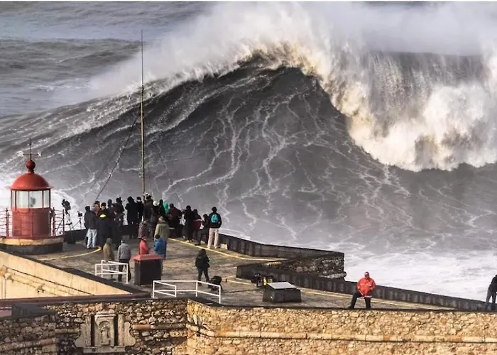 Daire Pedra Do Ouro Yoga Retreat *
